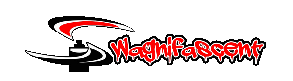 Swagnifascent Lifestyle 